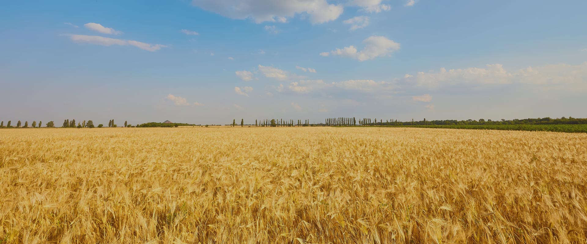 Advanced Harvesting Machines